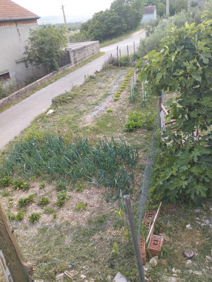 Misljen Apartmants Zadar Ngoại thất bức ảnh